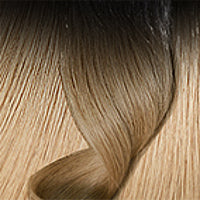 Tape-in Extensions (kurzer Ansatz), Schwarz & Hellbraun-Karamell